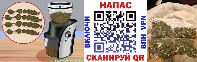 Canna-Cookies марихуана  маркетплейс телеграм  Кингисепп 