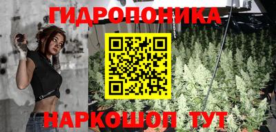 a pvp Кунгур