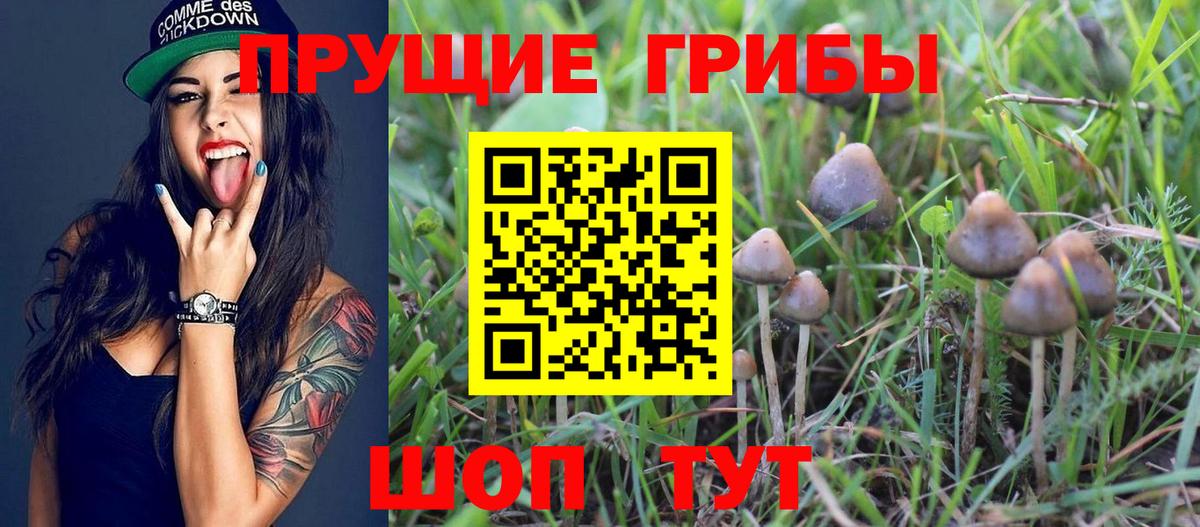 наркотики  Вход с VPN  Псилоцибиновые грибы Magic Shrooms  Кингисепп  Галлюциногенные грибы мухоморы 